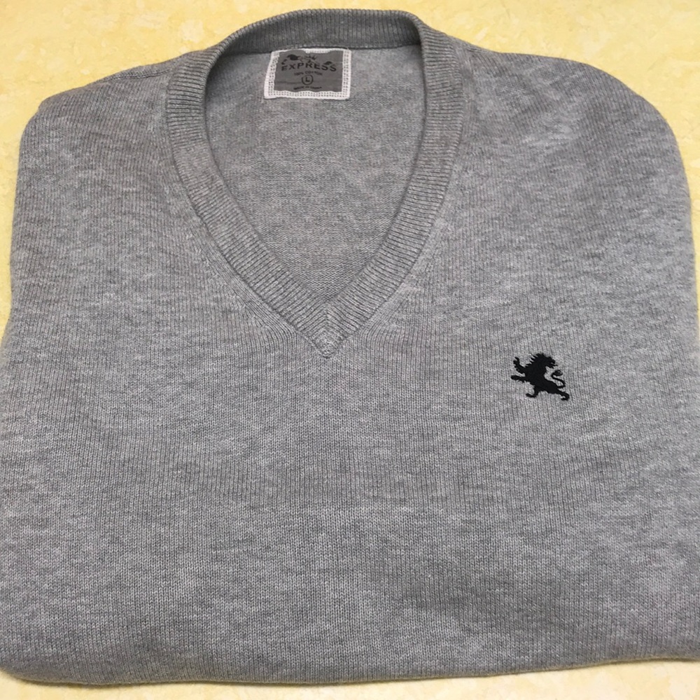 Express V-neck Sweater